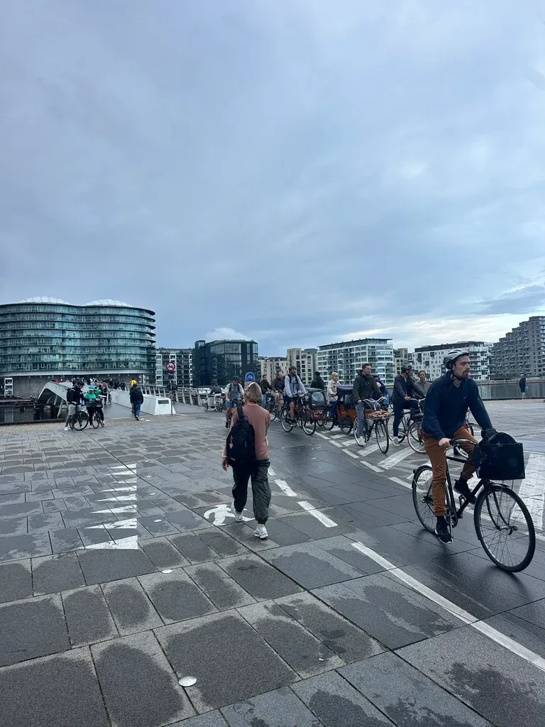 Cyclists and a pedestrian moving through a marked crossing beside Copenhagen harbour.